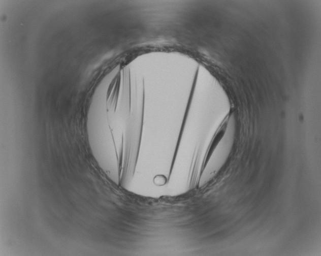 X0000067521398200605051843