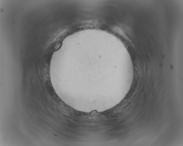 X0000067521399200605051843