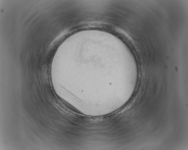 X0000067521403200605051843