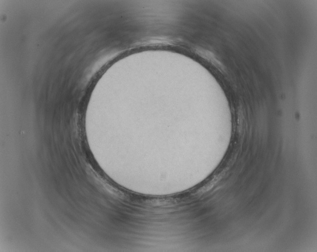 X0000067521404200605051843