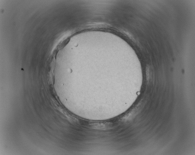 X0000067521405200605051843