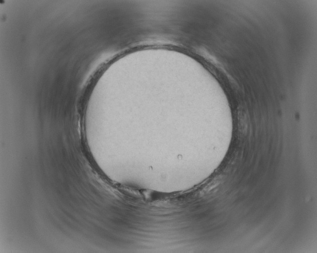 X0000067521408200605051843