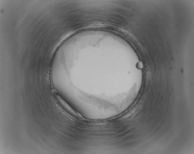 X0000067521409200605051843