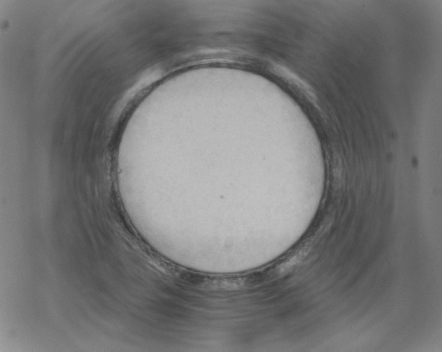 X0000067521411200605051843