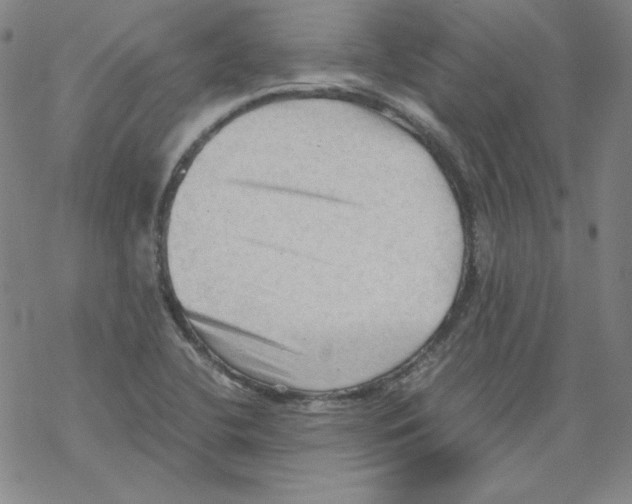 X0000067521412200605051843