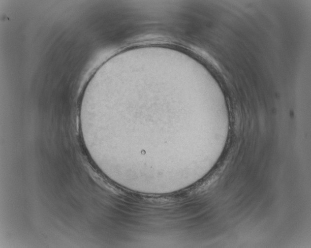 X0000067521413200605051843