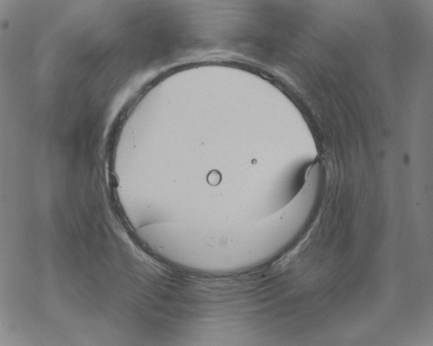 X0000067521414200605051843