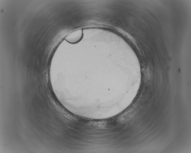 X0000067521415200605051843