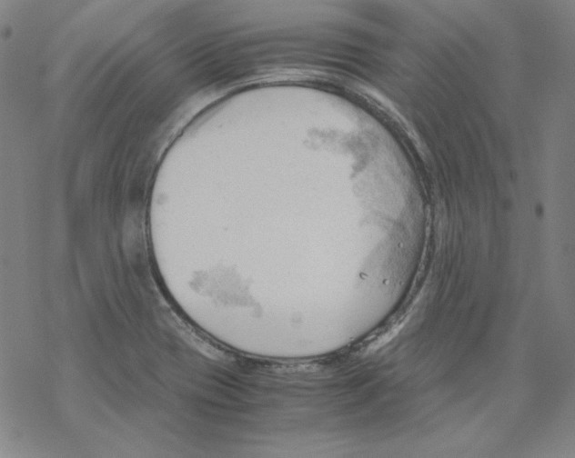 X0000067521417200605051843