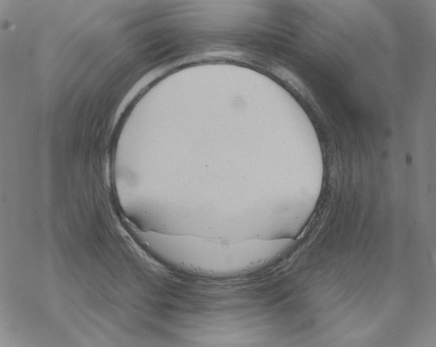 X0000067521420200605051843