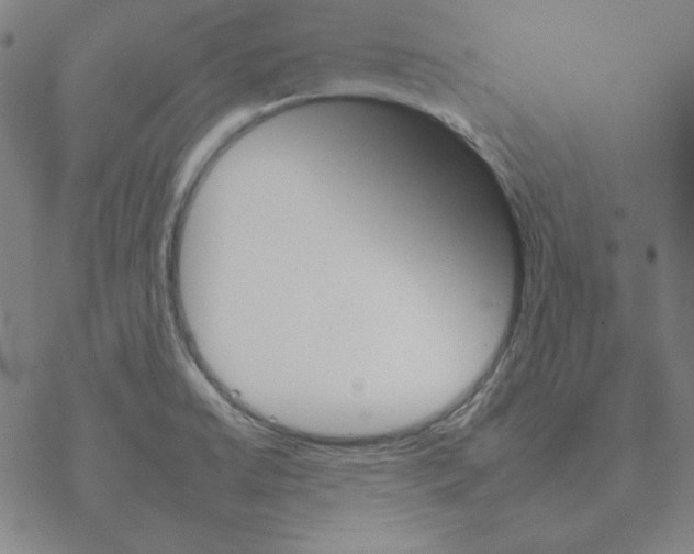 X0000067521422200605051843