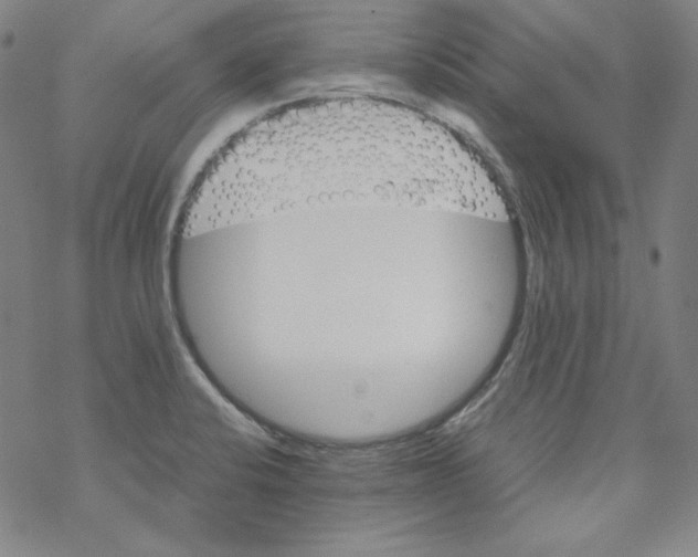 X0000067521424200605051843