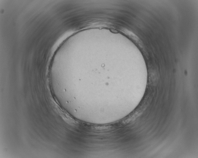 X0000067521427200605051843