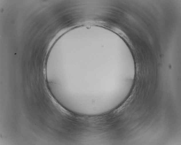 X0000067521428200605051843