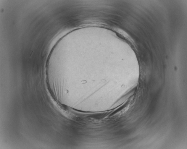 X0000067521431200605051843