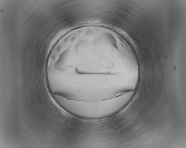 X0000067521432200605051843