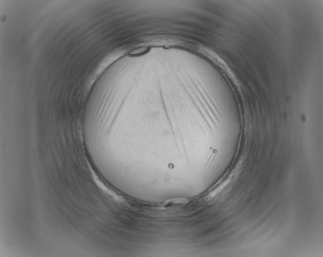 X0000067521433200605051843