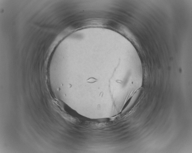 X0000067521435200605051843