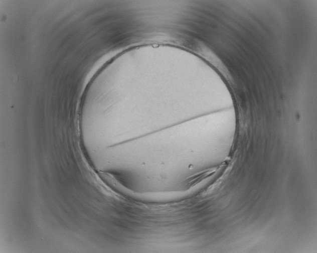 X0000067521436200605051843