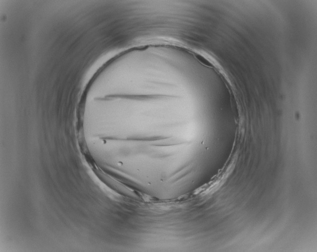 X0000067521438200605051843