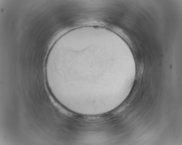 X0000067521439200605051843