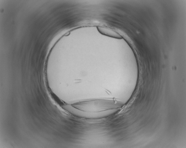 X0000067521440200605051843