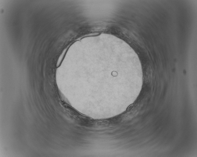 X0000067521441200605051842