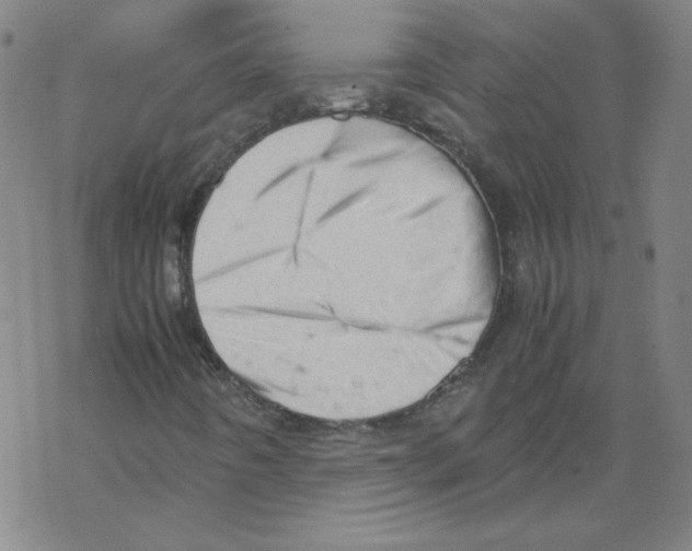 X0000067521442200605051842