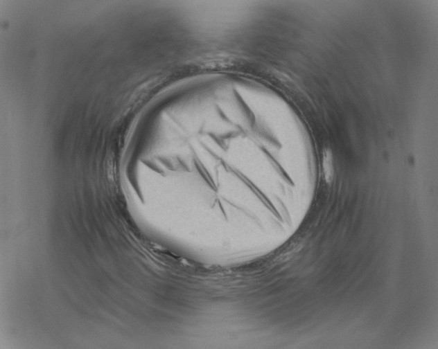 X0000067521444200605051842