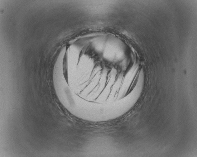 X0000067521445200605051842