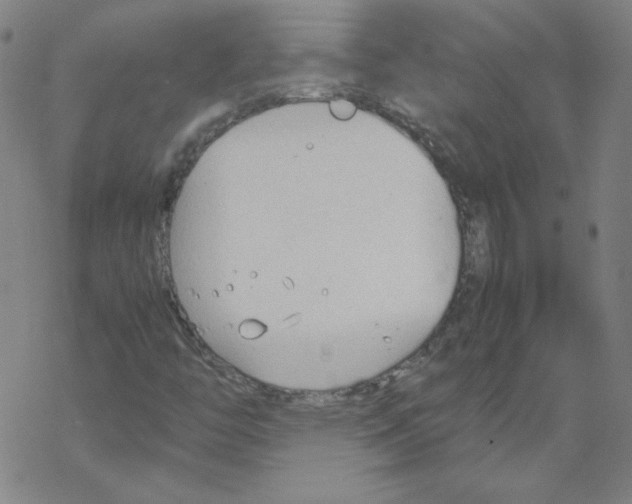 X0000067521446200605051842