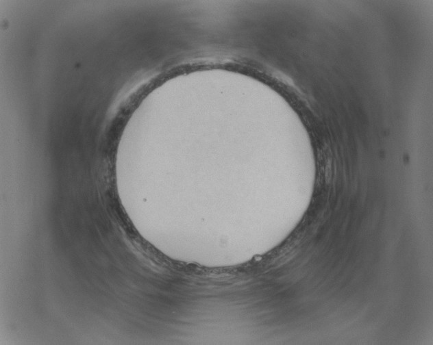 X0000067521448200605051842