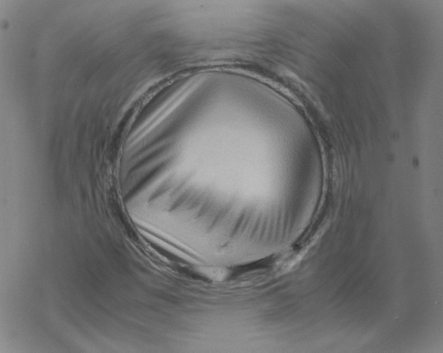 X0000067521449200605051842