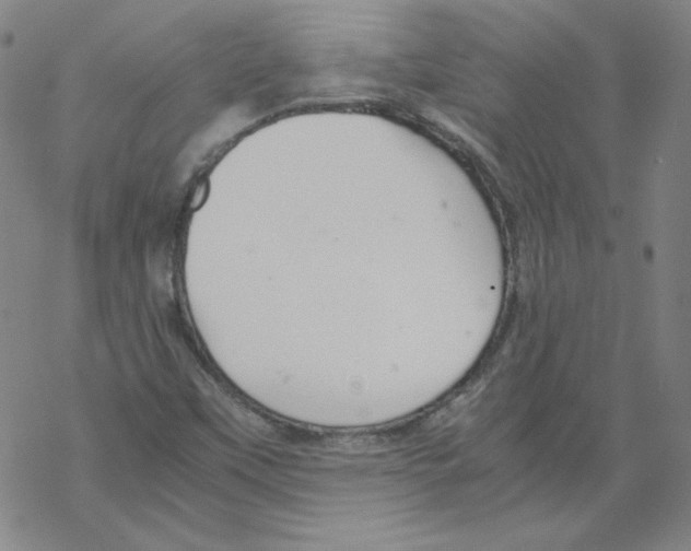 X0000067521451200605051842