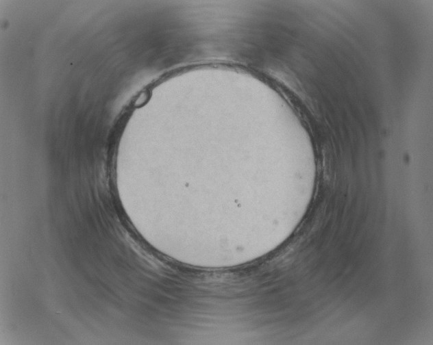 X0000067521452200605051842