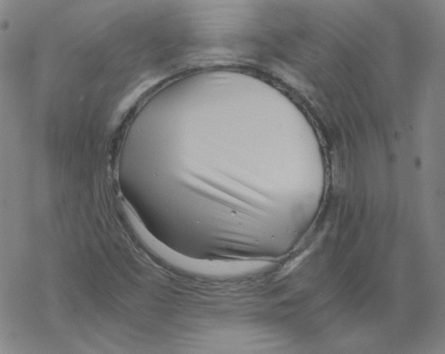 X0000067521453200605051842