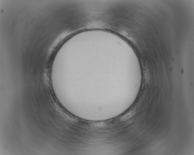 X0000067521454200605051842