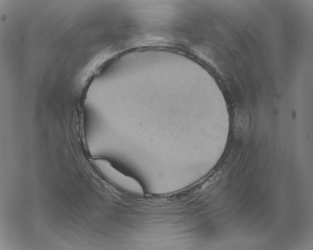 X0000067521455200605051842