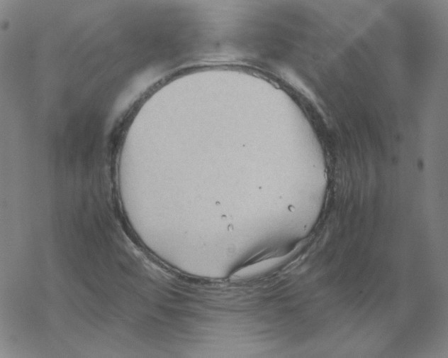 X0000067521456200605051842