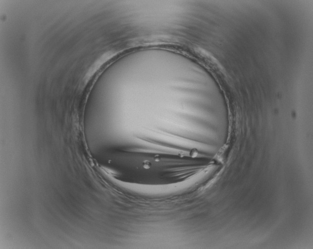 X0000067521457200605051842