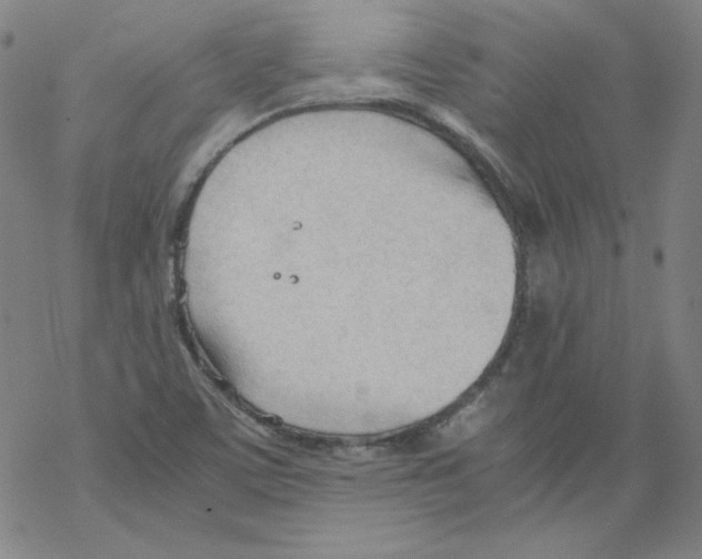 X0000067521459200605051842