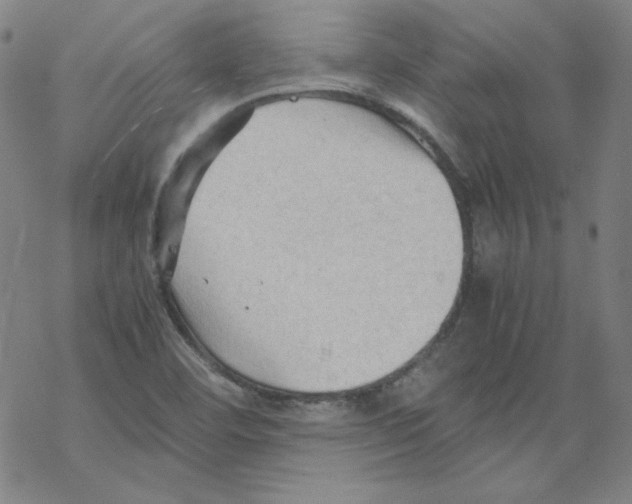 X0000067521460200605051842