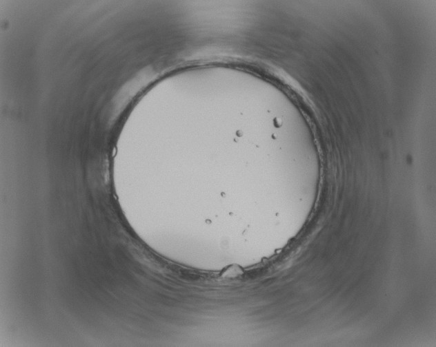 X0000067521461200605051842