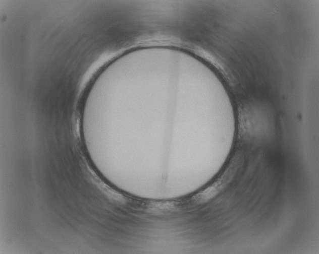 X0000067521462200605051842