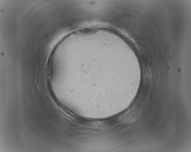 X0000067521463200605051842