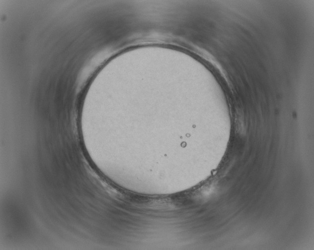 X0000067521464200605051842