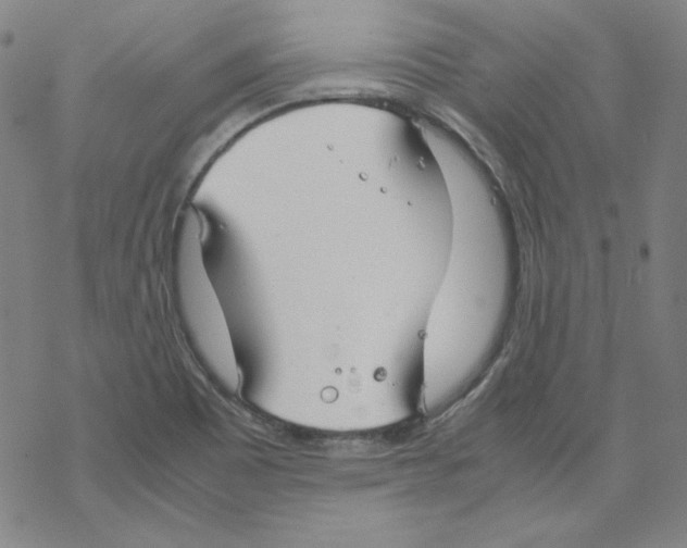 X0000067521465200605051842