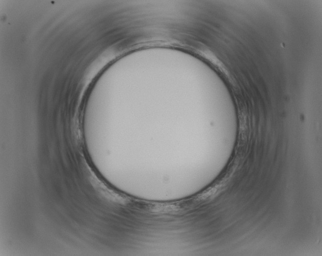 X0000067521466200605051842