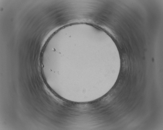 X0000067521468200605051842