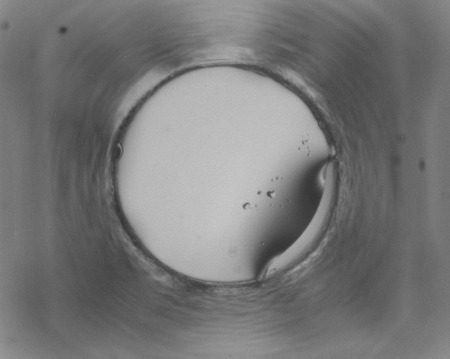 X0000067521469200605051842